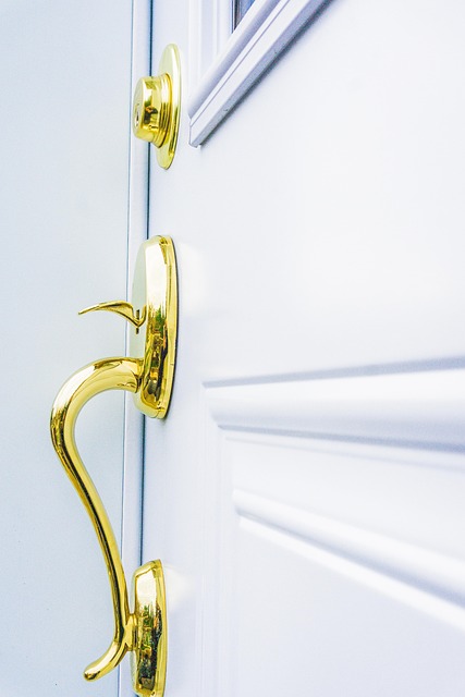 door closer preview image for selected door type and mounting style