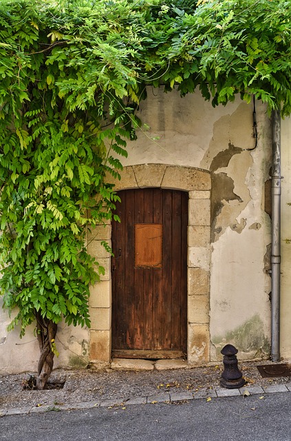 heavy duty door closer on fire rated door with latch speed adjustment