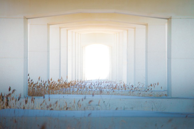 photo of door closer body mounted to door or frame