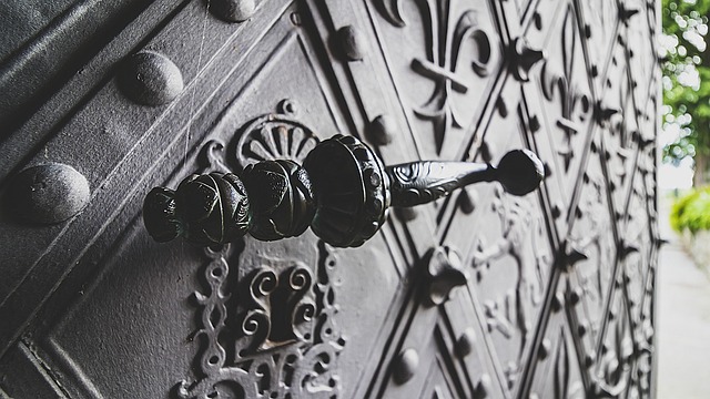 close up photo of door closer sweep and latch speed adjustment screws