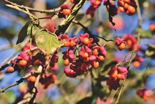 photo of door closer main arm attached to spindle