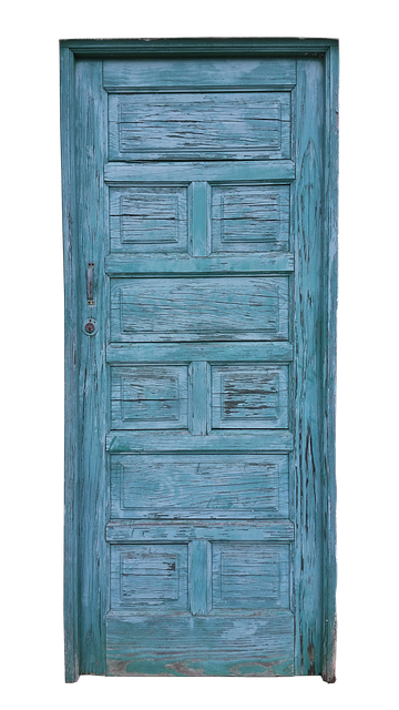 after photo interior door with tuned hydraulic door closer