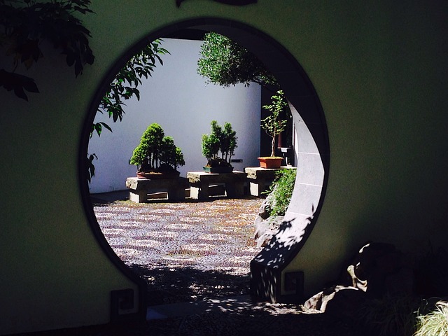 annotated door closer diagram showing backcheck zone and opening range